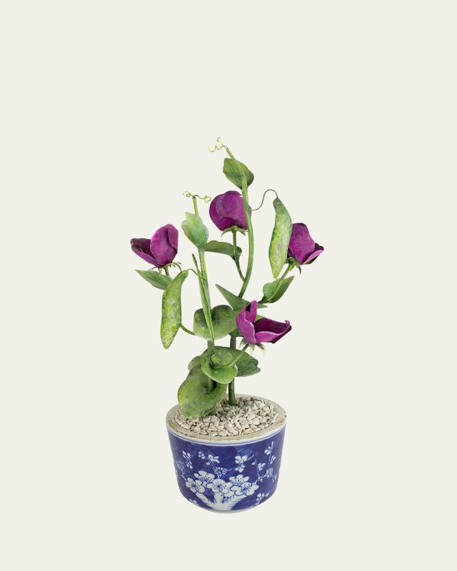 Sweet Pea April Birth Flower in Ceramic Pot